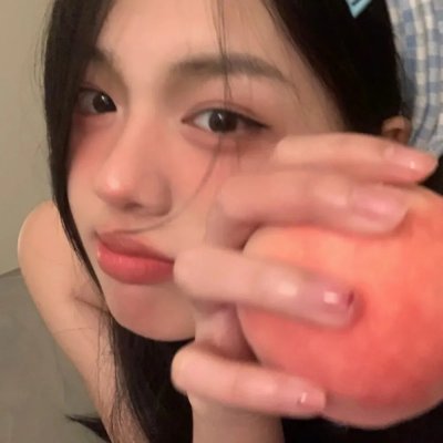 小象守护者 封面